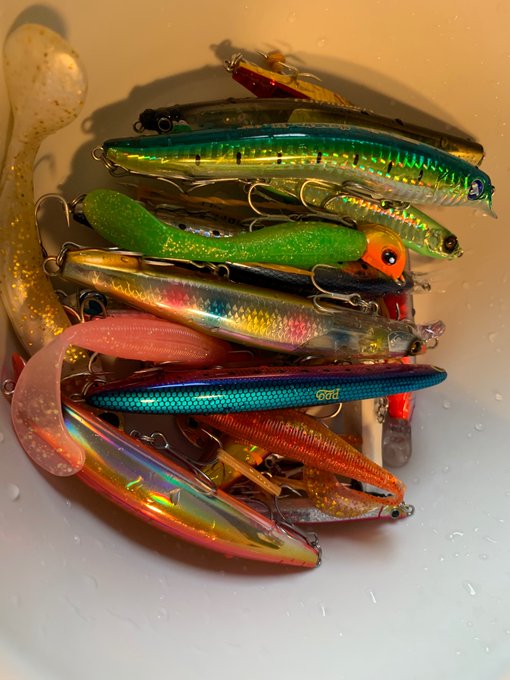 塩抜き・・・
ボウズの後のこの作業虚無 