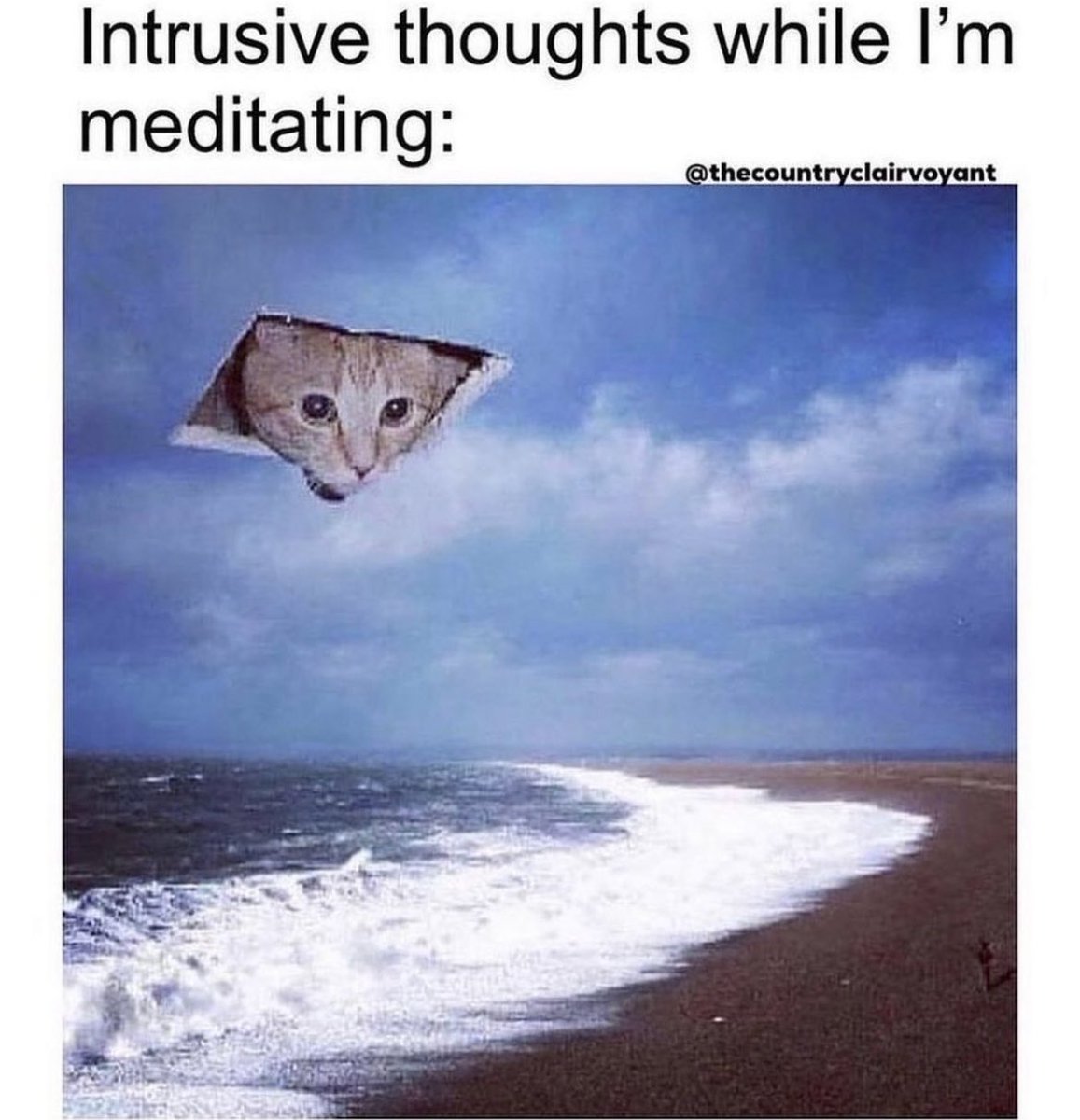 lisabulman28's tweet photo. #meditation #fridayfun https://t.co/KvxalQLtIf
