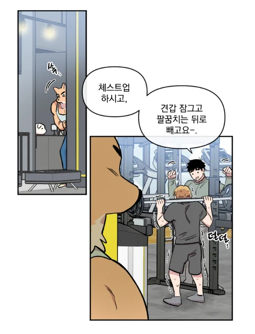 <힘 쓰는 일은 자신 있습니다!>
33화가 봄툰에 업로드 되었습니다. 
신캐가 많이 이쁨받아서 기쁩니다! ㅎㅎ
건강한 하루 되시고 행복하세요.💪
늘 감사합니다.
https://t.co/BfFfO1lNtn
#힘쓰 