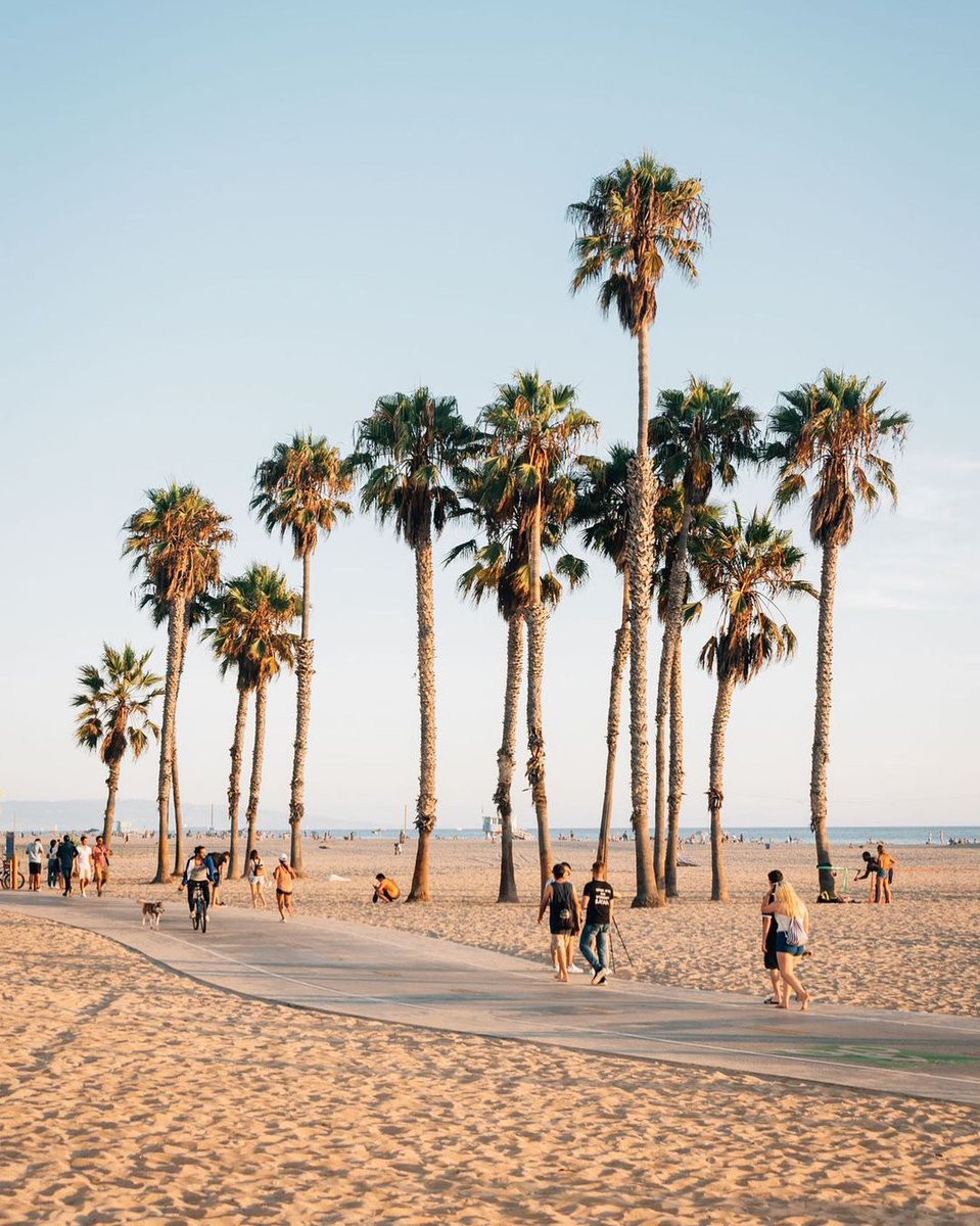 Admira las icónicas palmeras al dar un recorrido a pie por la playa y enamórate de Santa Mónica. A tan solo 3 horas desde el Cross Border Xpress encontrarás esta increíble ciudad. Asesórate con los expertos del California Welcome Center para más información. 

📷: jonbilous
