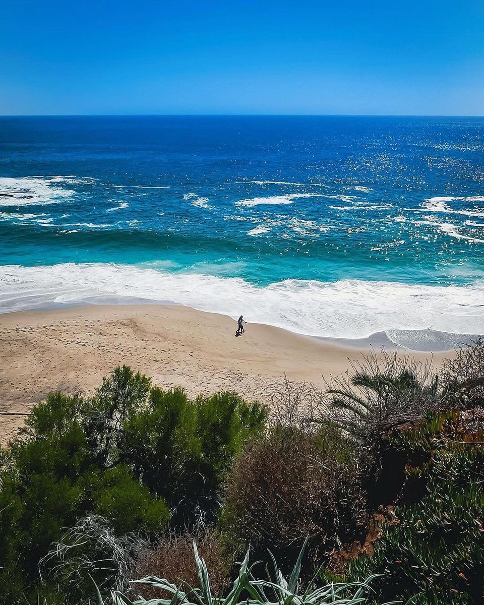 California Welcome Center CBX tweet media