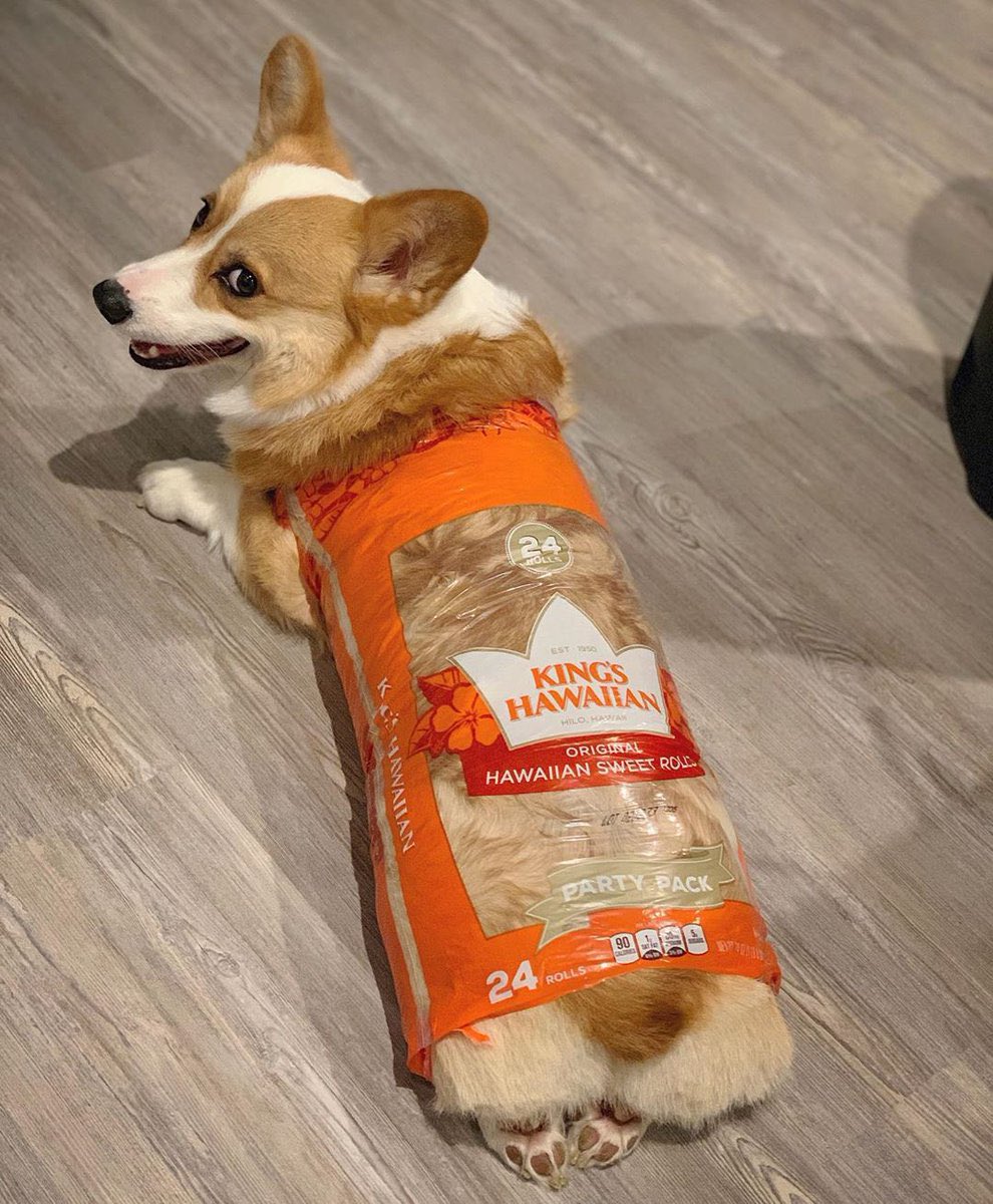 SuavesLomitos's tweet photo. 🍞 https://t.co/Y2BszDAOIg