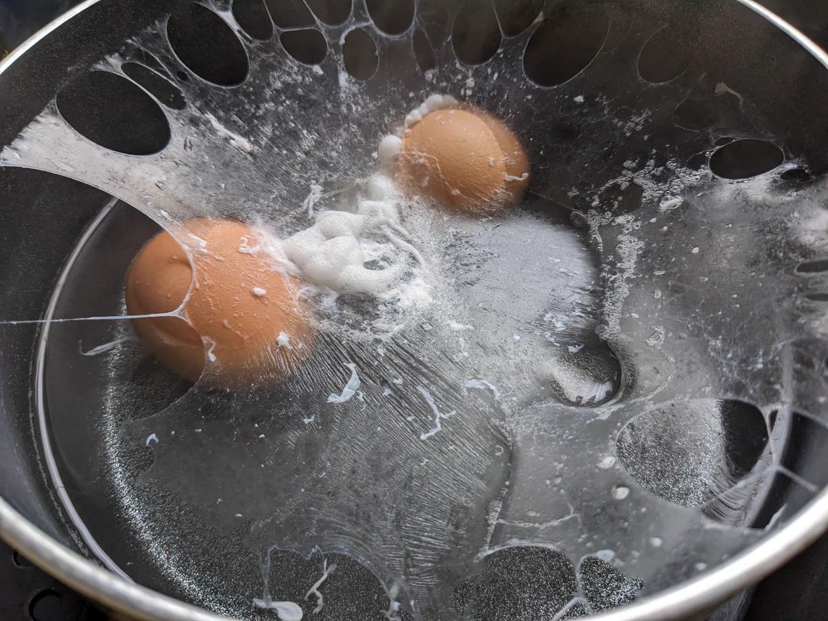 茹で卵を作ったはずなのに…。出来上がったのは異界の物体だった。