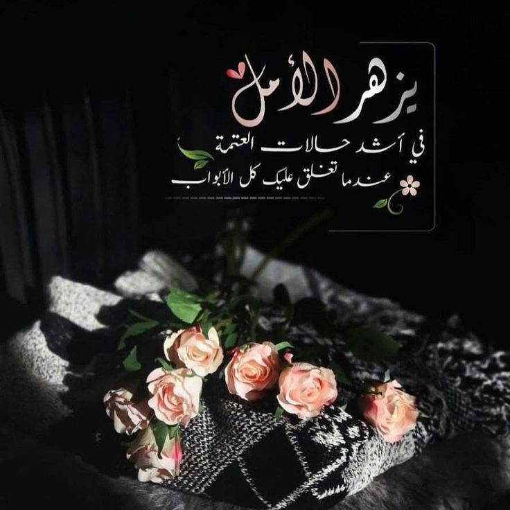 kh89t's tweet photo. و تمضي بنا الحياة
بين واقع
 نعيشه
 وماضٍ 
تعلمنا منه 
ومستقبل
نأمل أن يسير مع أمانينا https://t.co/Ux9za30bit