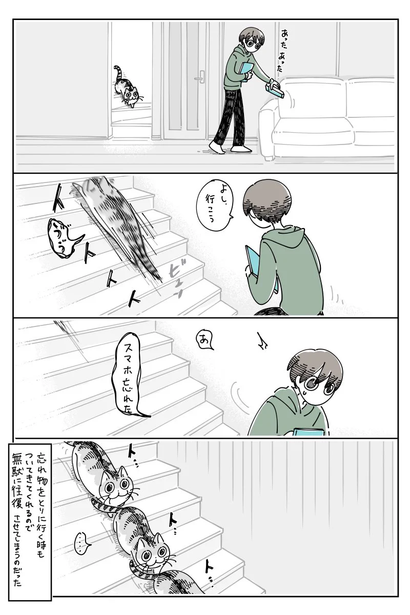 家の中を移動するとき、一緒について来てくれる猫！ただ、忘れ物を取りに行くときもついて来てくれるため･･･！