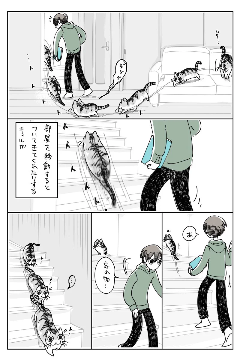 家の中を移動するとき、一緒について来てくれる猫！ただ、忘れ物を取りに行くときもついて来てくれるため･･･！