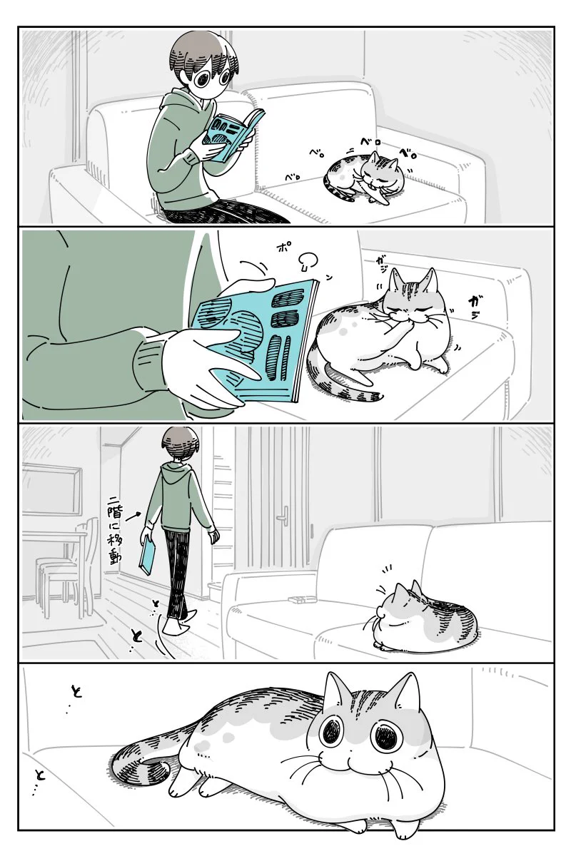 家の中を移動するとき、一緒について来てくれる猫！ただ、忘れ物を取りに行くときもついて来てくれるため･･･！