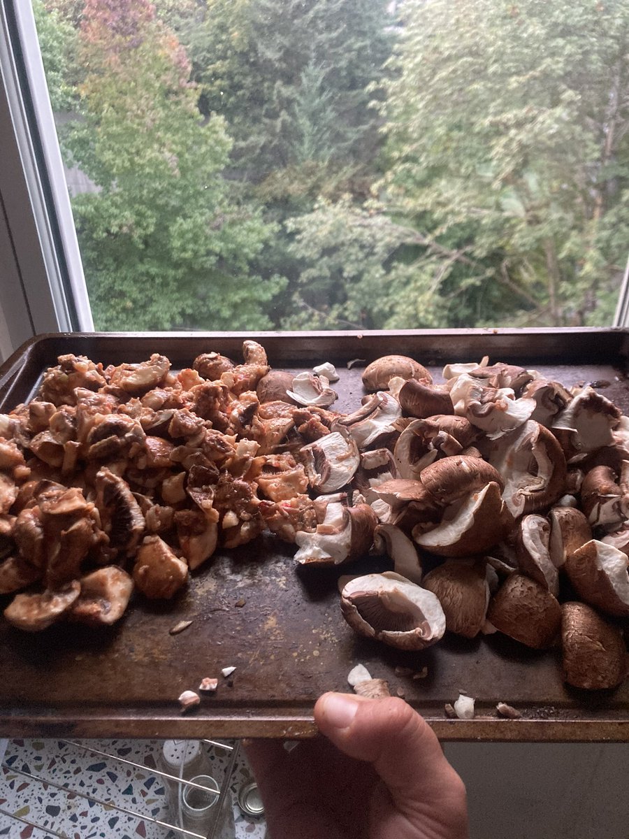 veggiequizard's tweet photo. So begins a journey that I am incredibly grateful for: one that highlights my expression and experience in food! I am so happy to share these moments in the kitchen and beyond <3 https://t.co/6NmaAydFL5