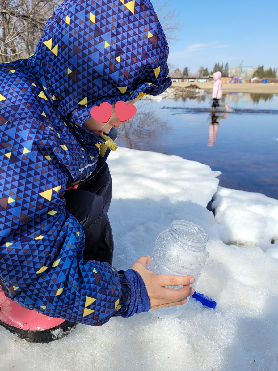 ReilkoffT's tweet photo. Pond dipping at Swamp School today was such a treat.  After a long winter, the Ss loved exploring and investigating.  Hunting for water beetles had us busy but we took the time to document our specimens.  Never a dull moment at #ForestSchoolBlaineLake
#mpscpssd #literacyoutside https://t.co/eF9yJvodVA