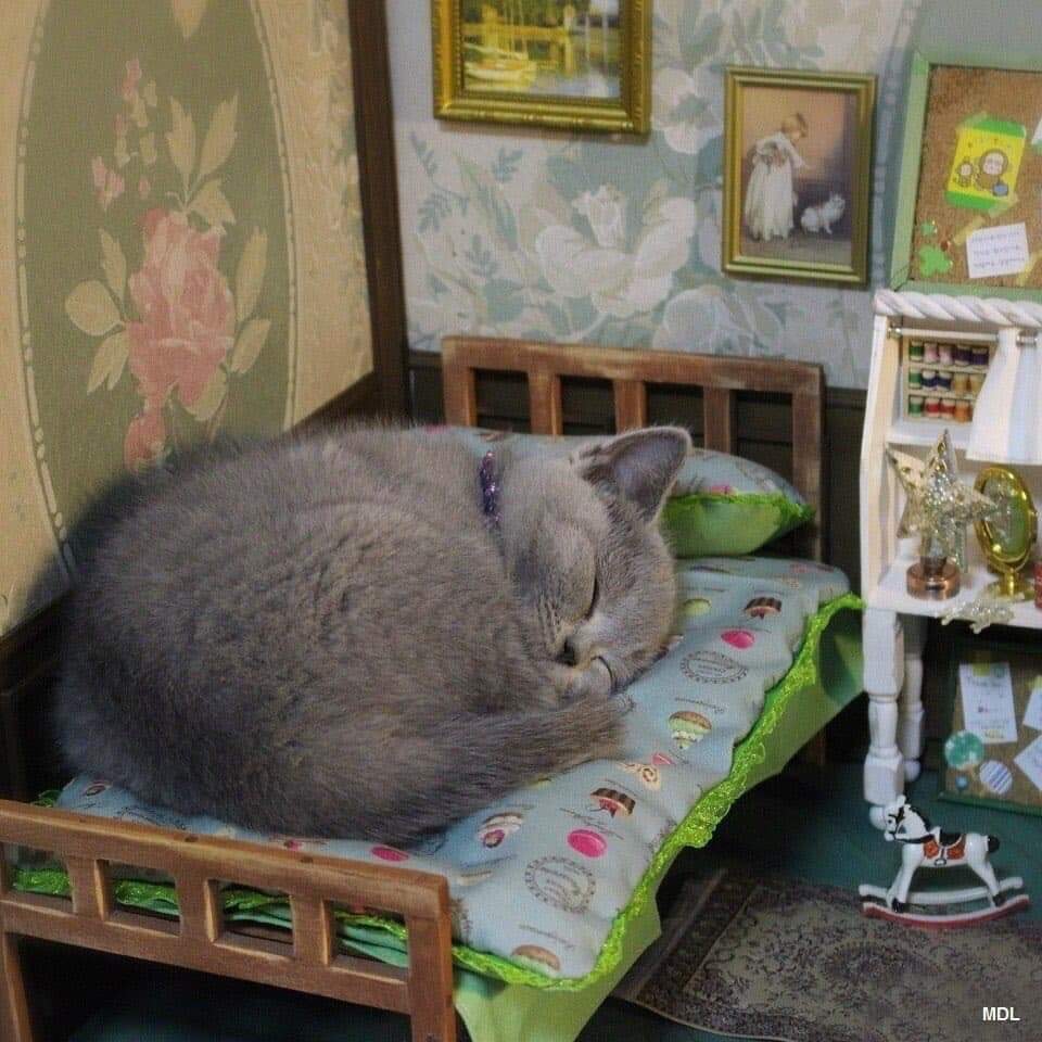 BichinhosFB's tweet photo. Mimindo 🥺🤏 https://t.co/07GB3I9Epz