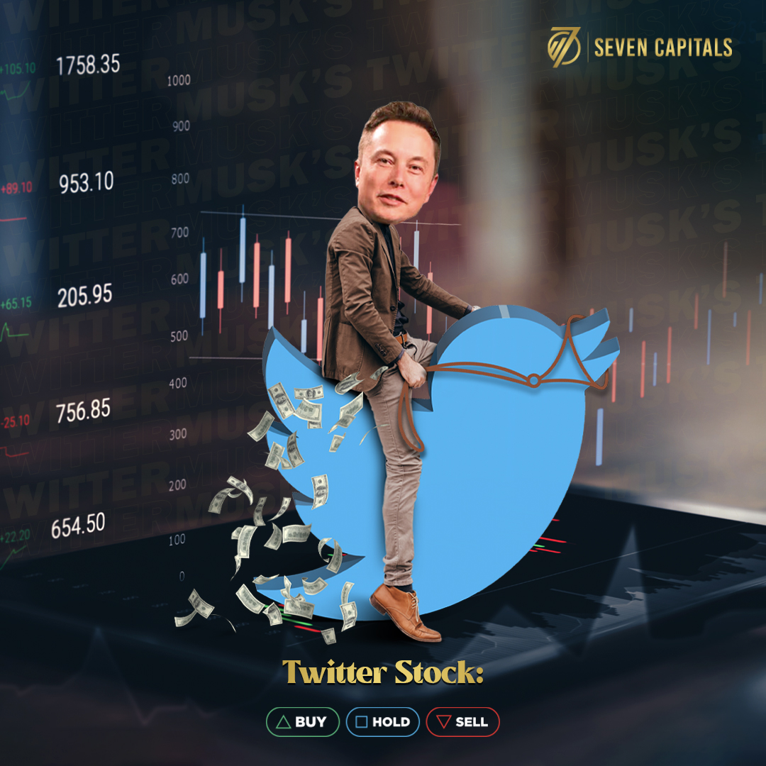 Seven Capitals tweet media