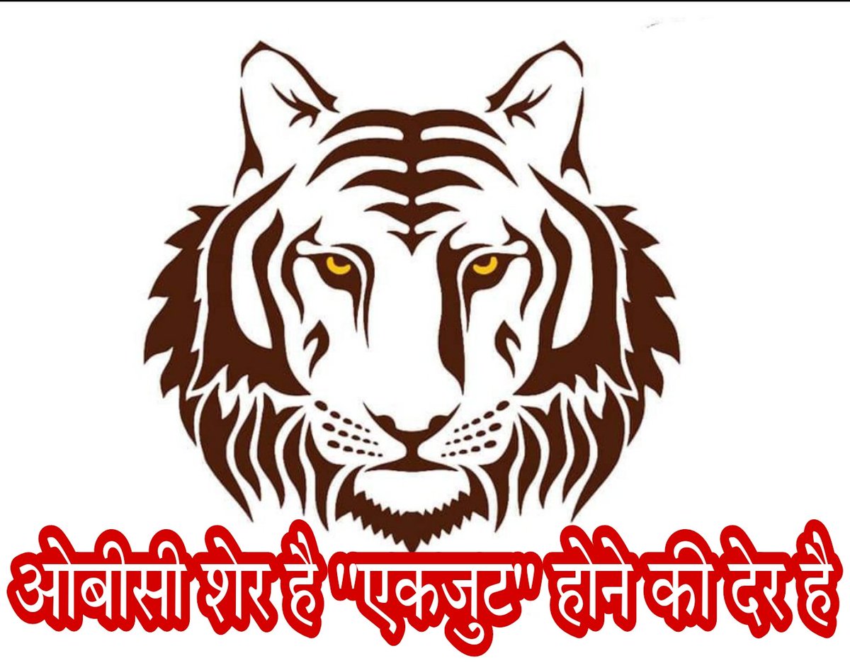 ओबीसी शेर है एकजुट होने की देर है