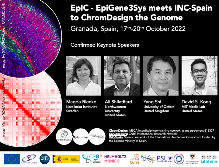 ChromDesign (@chromdesign) on Twitter photo 📢We are delighted to announce our EpIC-Conference keynote speakers <a href="/CanalUGR/">Universidad Granada</a>: <a href="/BienkoMagda/">Magda Bienko</a> <a href="/karolinskainst/">Karolinska Institutet</a>, Yang Shi <a href="/Ludwig_Cancer/">Ludwig Cancer</a> Oxford, Ali Shilatifard <a href="/NorthwesternU/">Northwestern</a> and <a href="/davidsunkong/">David Sun Kong, Ph.D.</a> <a href="/mit/">Massachusetts Institute of Technology (MIT)</a> <a href="/medialab/">MIT Media Lab</a>. Still time to register (for free!) by May 31 👉 bit.ly/3J5sbqZ 📢We are delighted to announce our EpIC-Conference keynote speakers <a href="/CanalUGR/">Universidad Granada</a>: <a href="/BienkoMagda/">Magda Bienko</a> <a href="/karolinskainst/">Karolinska Institutet</a>, Yang Shi <a href="/Ludwig_Cancer/">Ludwig Cancer</a> Oxford, Ali Shilatifard <a href="/NorthwesternU/">Northwestern</a> and <a href="/davidsunkong/">David Sun Kong, Ph.D.</a> <a href="/mit/">Massachusetts Institute of Technology (MIT)</a> <a href="/medialab/">MIT Media Lab</a>. Still time to register (for free!) by May 31 👉 bit.ly/3J5sbqZ
