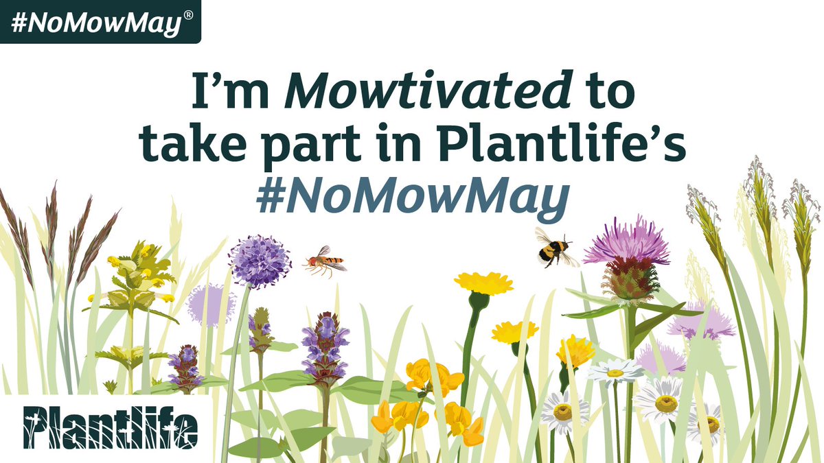 kasia lis-slimak tweet media