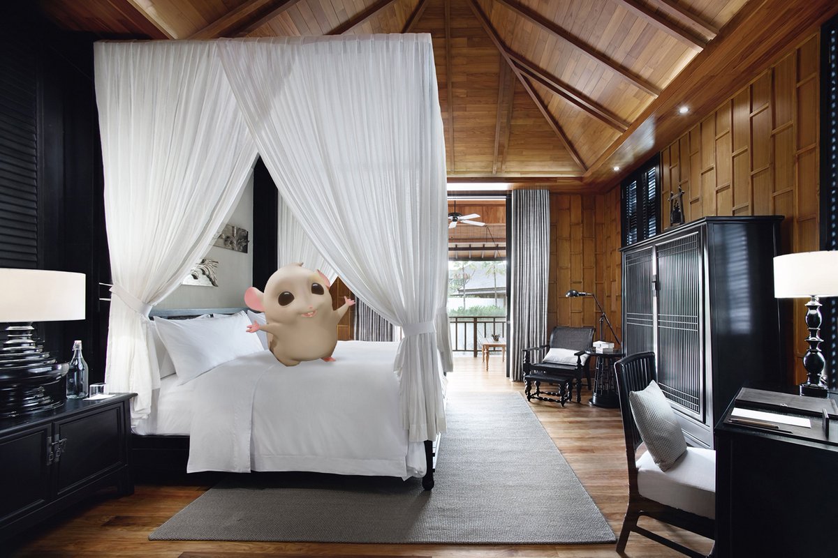 ROHamsters's tweet photo. Now Playing: Hotel Room by PitBull
#Roborovski #RoboJournal https://t.co/uk4eLVbVvF