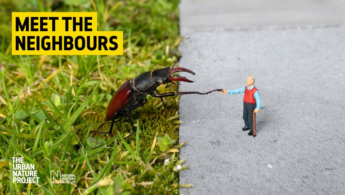 slinkachu tweet media