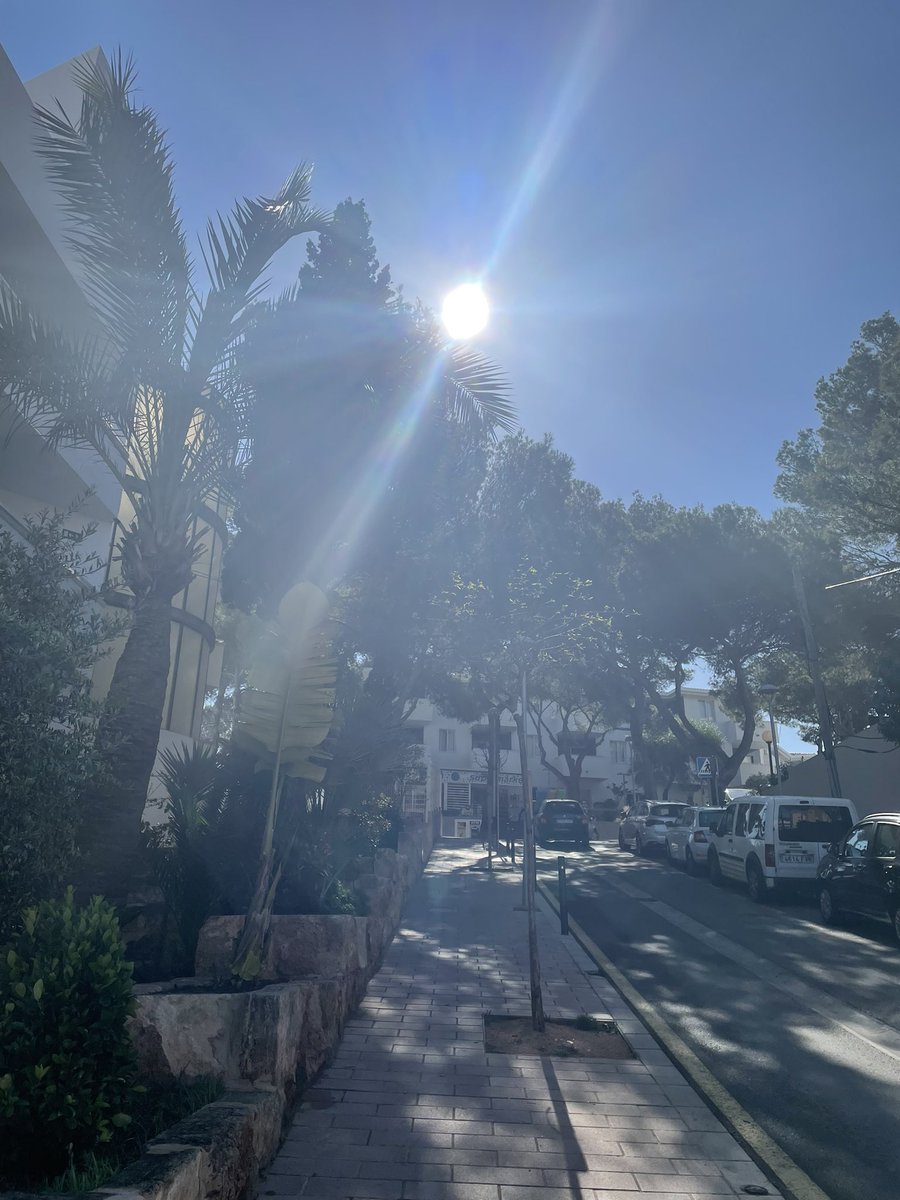 Jitz.eth tweet media