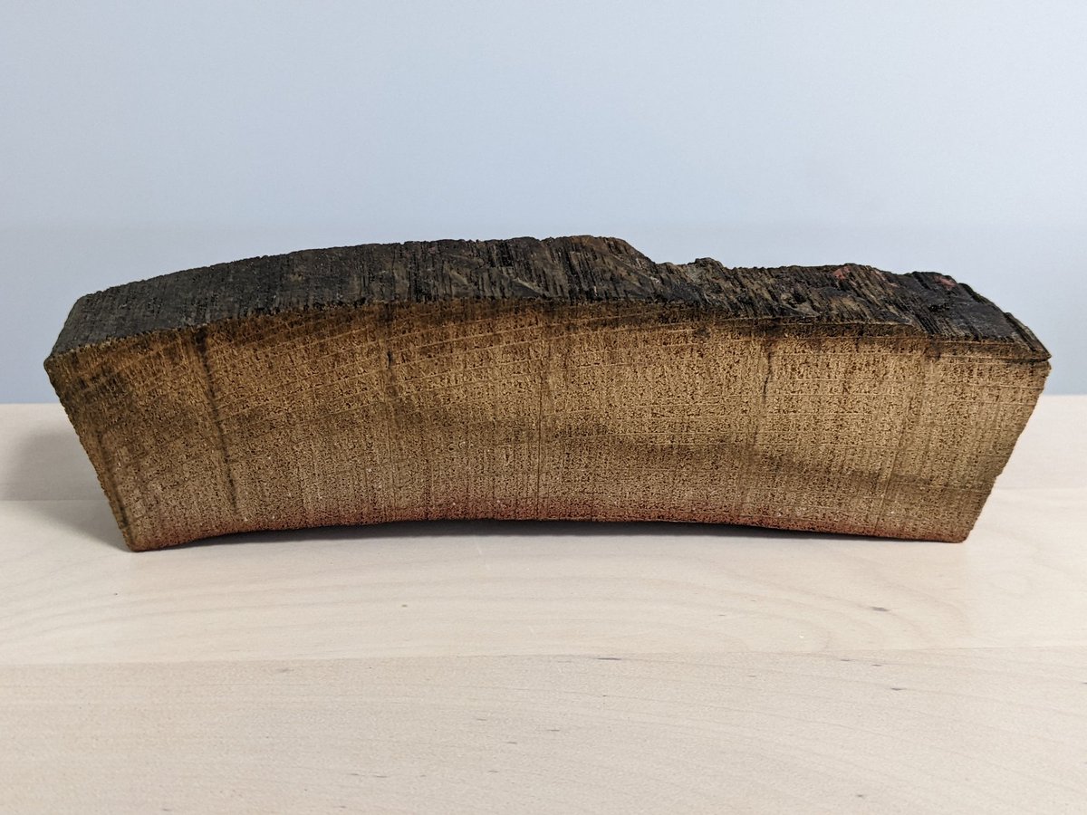 I recently spent an afternoon sharing bottles with Frank Boon, which was a great honour. My onslaught of questions about barrels and foeders ended up with Frank giving me this section of old stave showing the lambic saturation line. This is now my favourite bit of wood...