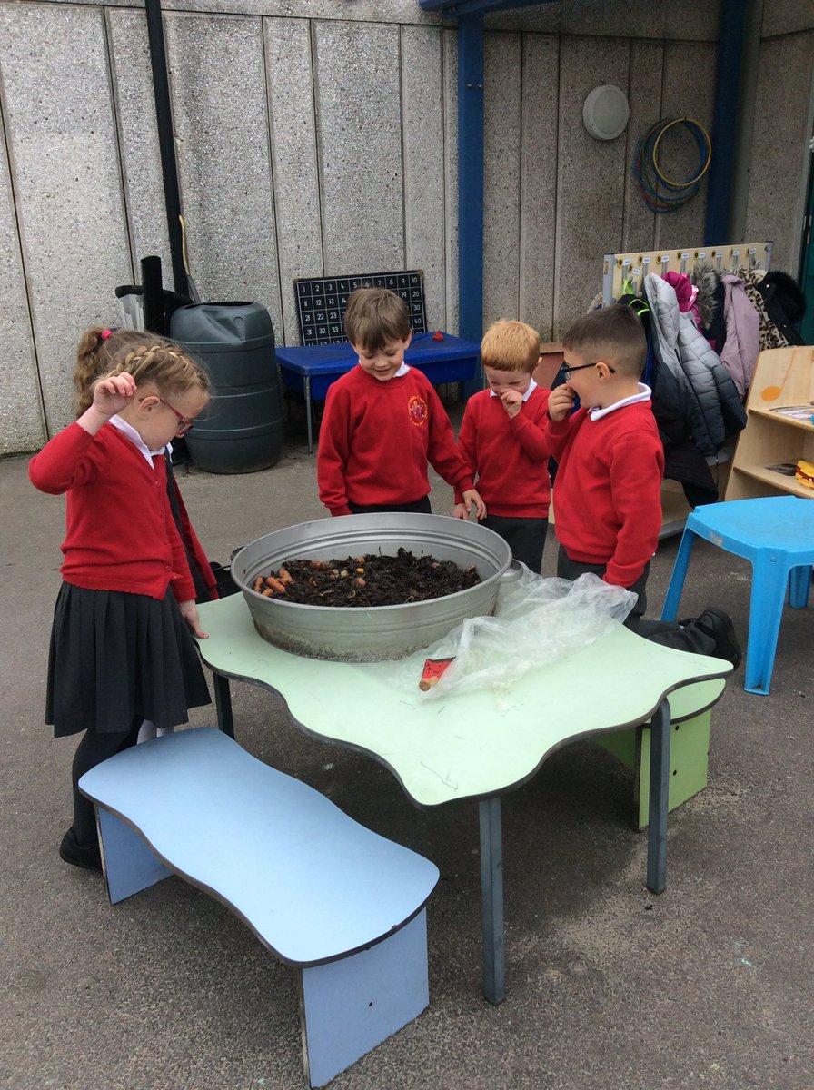 gillmarsh11's tweet photo. We revisited our compost stew. We looked for how it had changed during the last weeks. Lots of the material had rotted down but it smelled horrible!!!! #joeysUTW
@_MrsBG https://t.co/ALzJT1qsvs