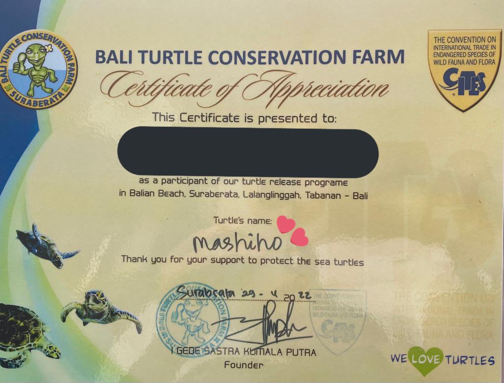 morningsunsahi's tweet photo. Asahi : 11.01.2020✔️
Yoshi: 15.11.2020✔️
Mashiho: 29.24.2022✔️

Next time I release another baby turle, will name it Haruto!✨ https://t.co/qtqlk9KBk9