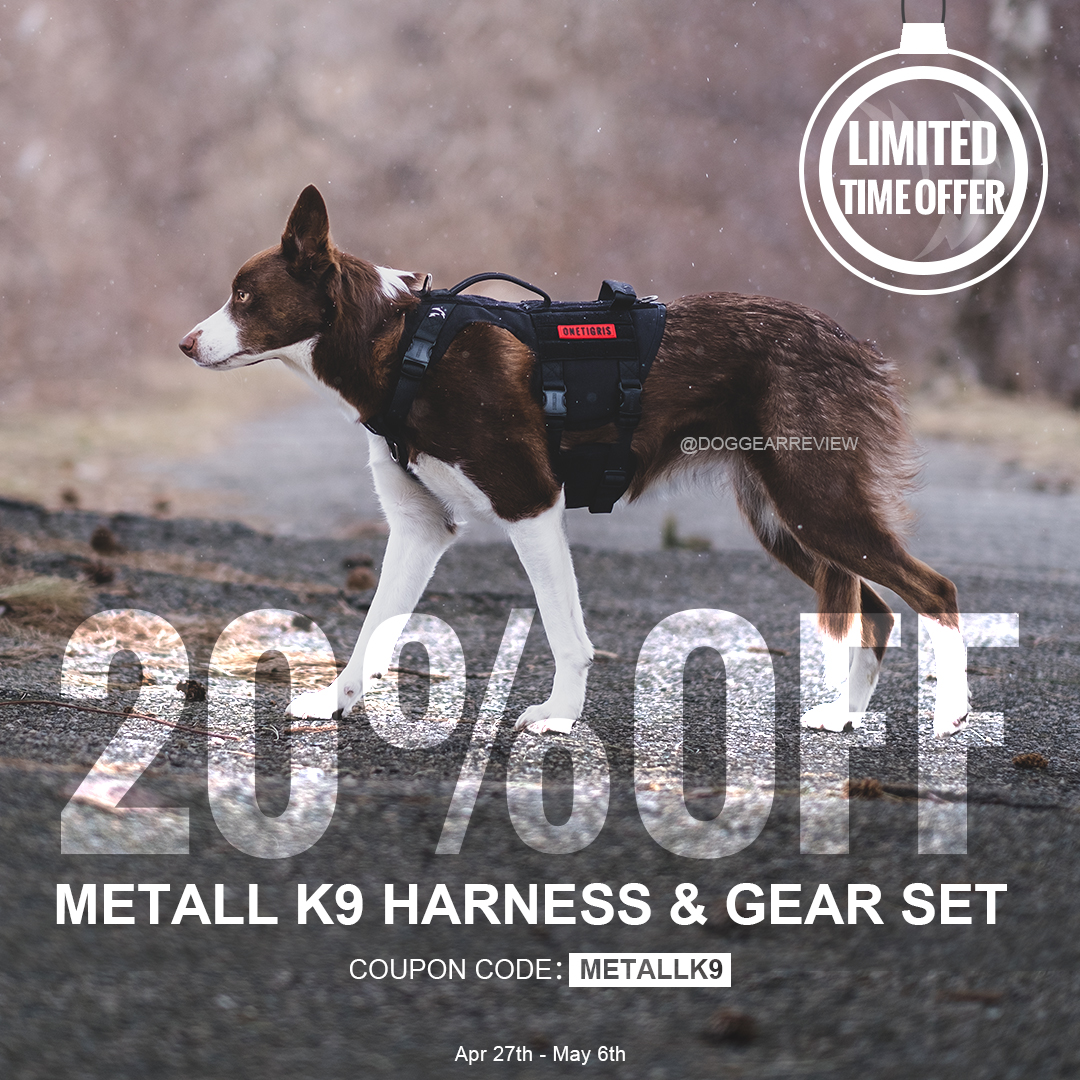 OneTigris tweet media