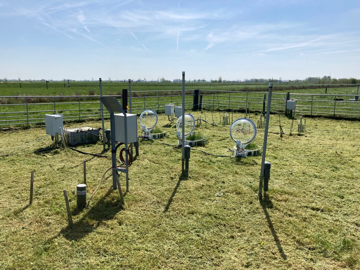 Dieter Staat tweet media