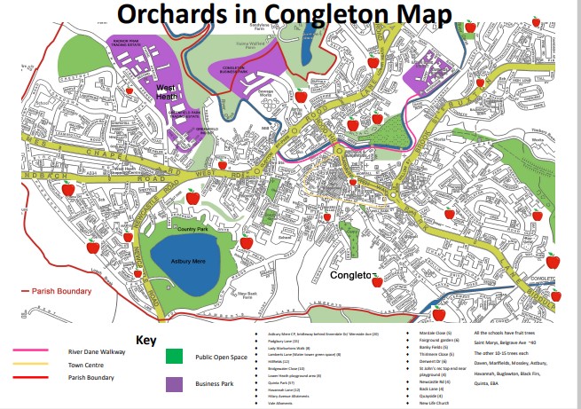 CongletonTown's tweet photo. Today is #OrchardBlossomDay! If you're nearby this Friday (29 April) come and have a sit in one of Congleton’s many Orchards. Explore the beautiful blossoms and fruit trees. #OrchardsEverywhere #BlossomWatch #CongletoninBloom https://t.co/CMhtVp2iVR
