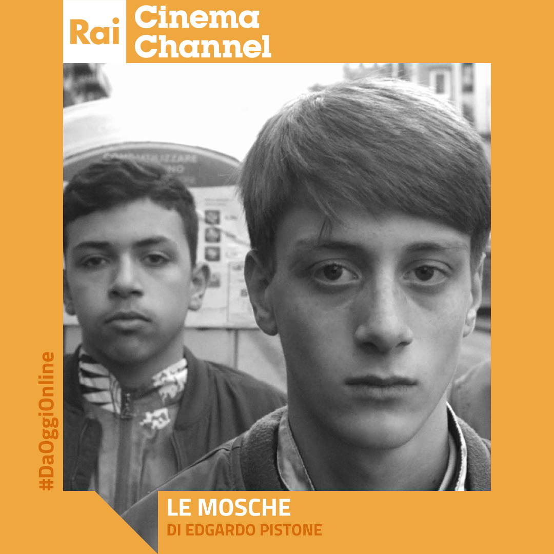 RaiCinema's tweet photo. Da oggi online su https://t.co/kNF7OOVDsT il corto #LeMosche di #EdgardoPistone che segue le vicissitudini di un gruppo di ragazzi, abbandonati a sé stessi mentre la vita, placida e apparentemente tranquilla, scorre indisturbata.
Guardalo qui: https://t.co/yDnkNF2e2t https://t.co/vMrkCGWOJd