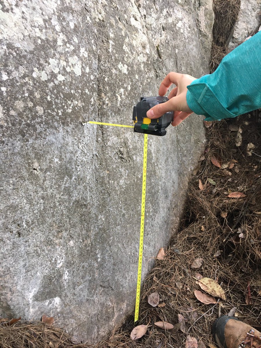 Sam Mitchell tweet media