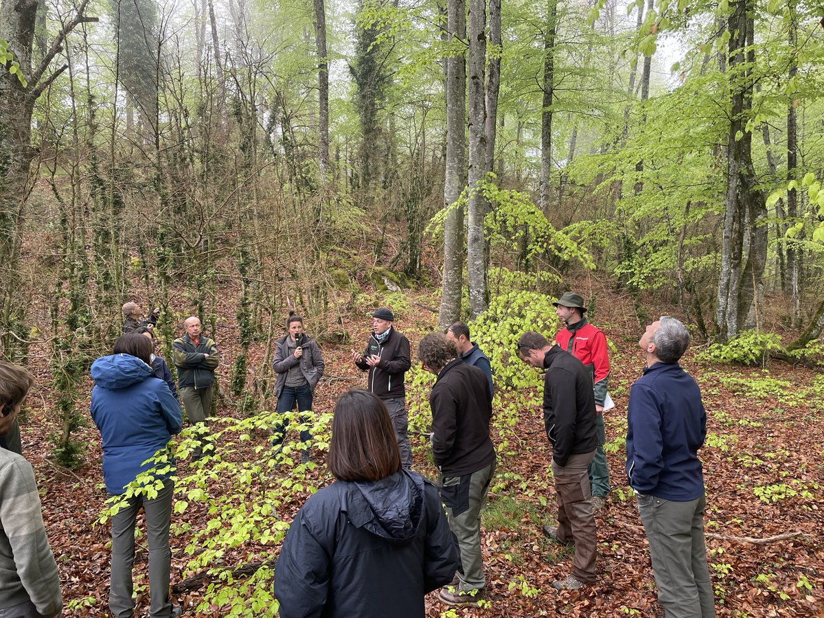 Andorra_RI's tweet photo. 🌿Trobada transfronterera sobre #SanitatForestal als Pirineus organitzat per @FORESPIR_ en el marc del projecte POCTEFA @opcc_ctp #ADAPYR.
🌍Entre Tarascon-sur-Ariège i Puigcerdà.
➕info ⬇️ https://t.co/9NEy15mpve