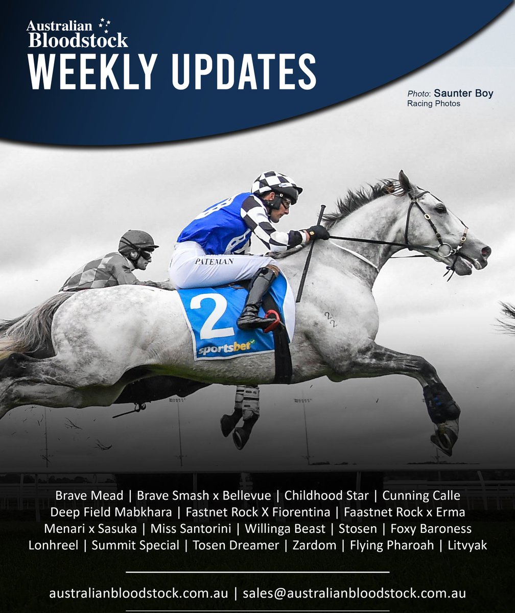 ausbloodstock2's tweet image. #OwnerUpdates 🙌