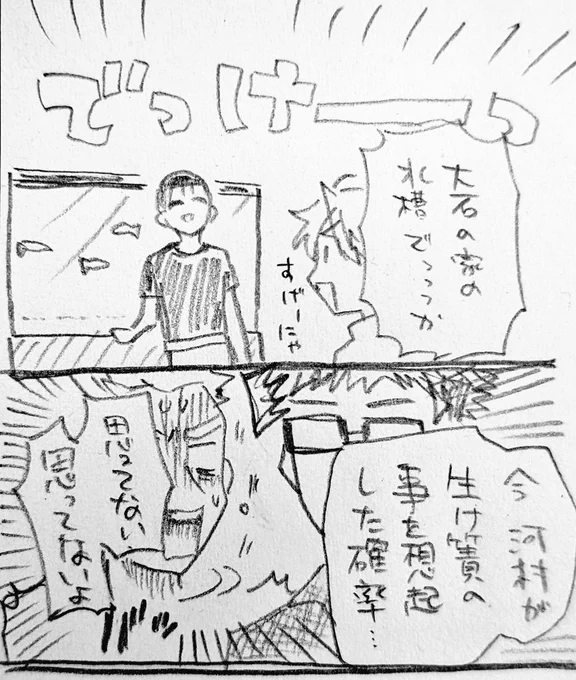 大石ん家の水槽でっっっけ 