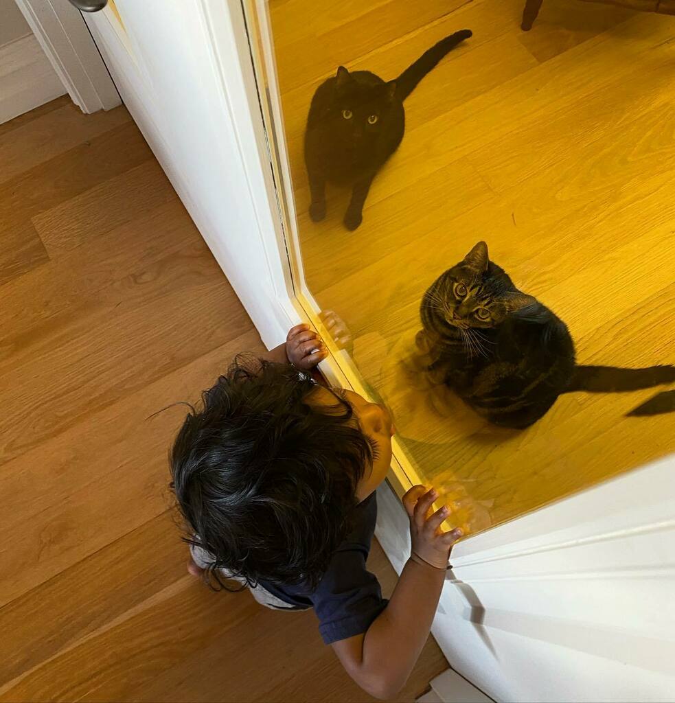 In case you missed my email update, my family has relocated to Perth, Australia (furry family members included). My time in Vancouver has been incredibly special &amp; I will miss all my wonderful clients. I look forward to continuing the work I love over he… instagr.am/p/Cc7XcX7BvXB/