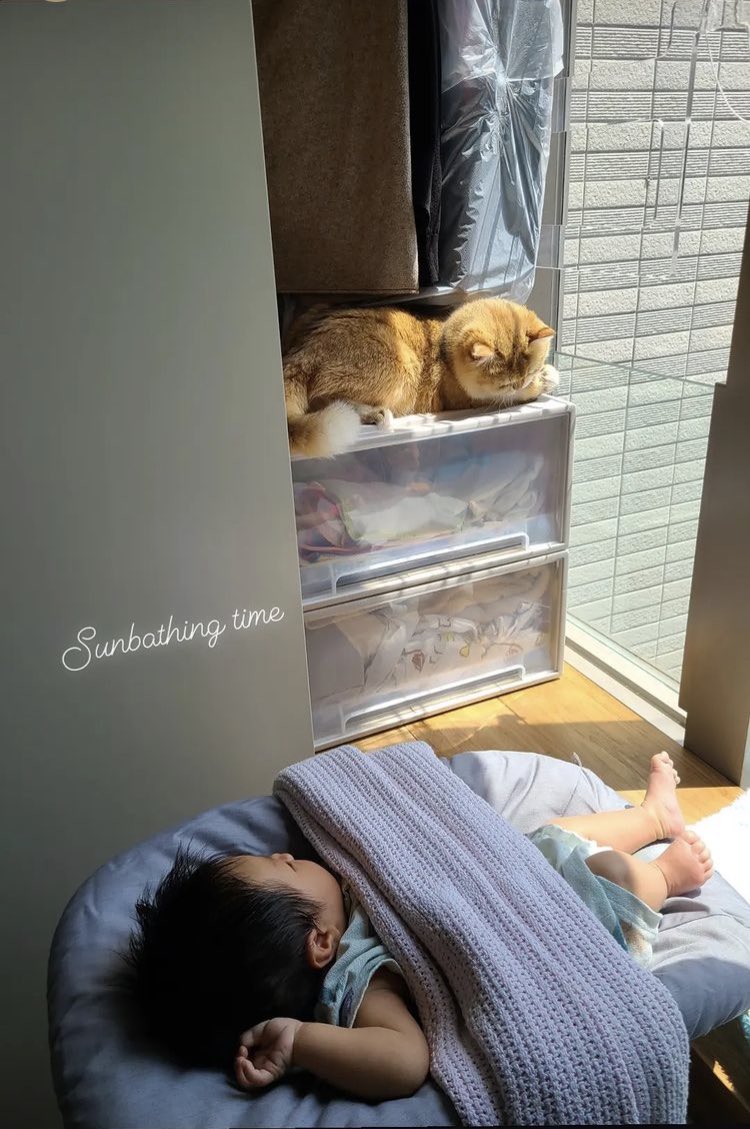 CatcationNft's tweet photo. @chiujackjai got a new little brother recently. For celebration, Catcation specifically designed this loving NFT for them, let’s wish them the best!
 #cat #NFT #Catcation #staycation  #baby #cute #NFTcollections #NFTCommunity #NFTs #NFTGiveaway #nftart #NFTartists #DAO #Crypto https://t.co/tu0QcBAMUx