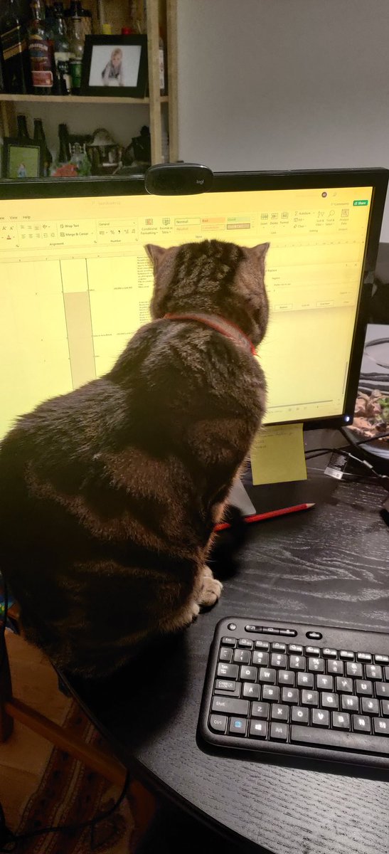 Rand_Ash's tweet photo. When methodology books talk about difficulties in the analysis of data, I'm fairly sure they don't reference the stubbornness of cats that cannot understand why you want to pay attention to data over them....
#playwithdata #pi https://t.co/n6Kl8C5hxZ