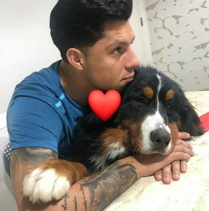 RuthGon77172492's tweet photo. Feliz Día Del Amimal Para Todas Nuestras Mascotas Que Nos Aman Incondicionalmente .. ♥️
#29DeAbril #FelizDiaDelAnimal #Mascotas #RiverPlate #QueAmor https://t.co/U2lLG4cNSS