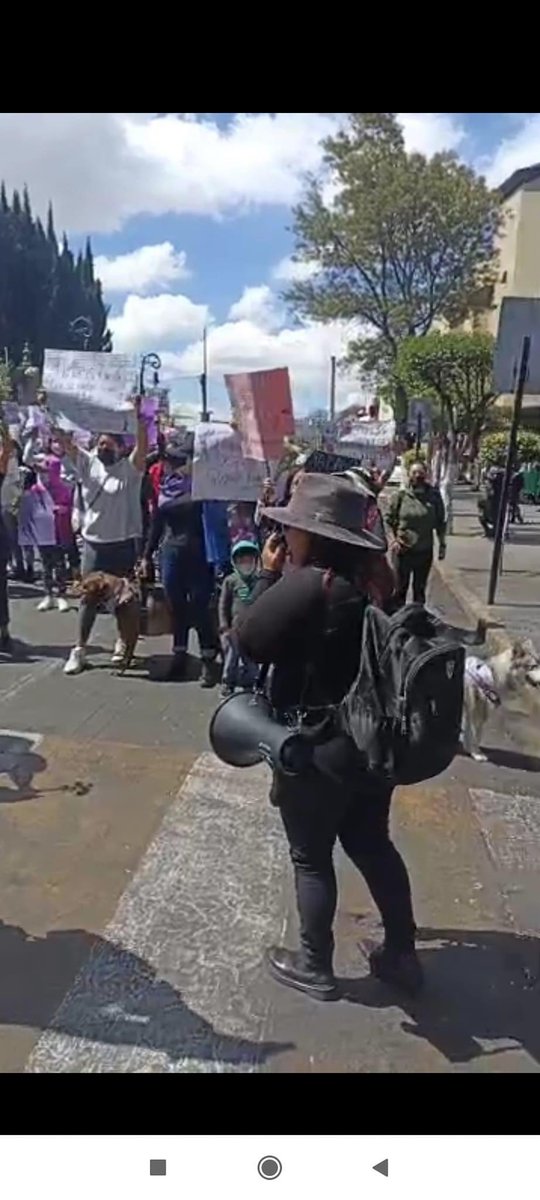 Mujeres del Tule Colectiva Feminista tweet media