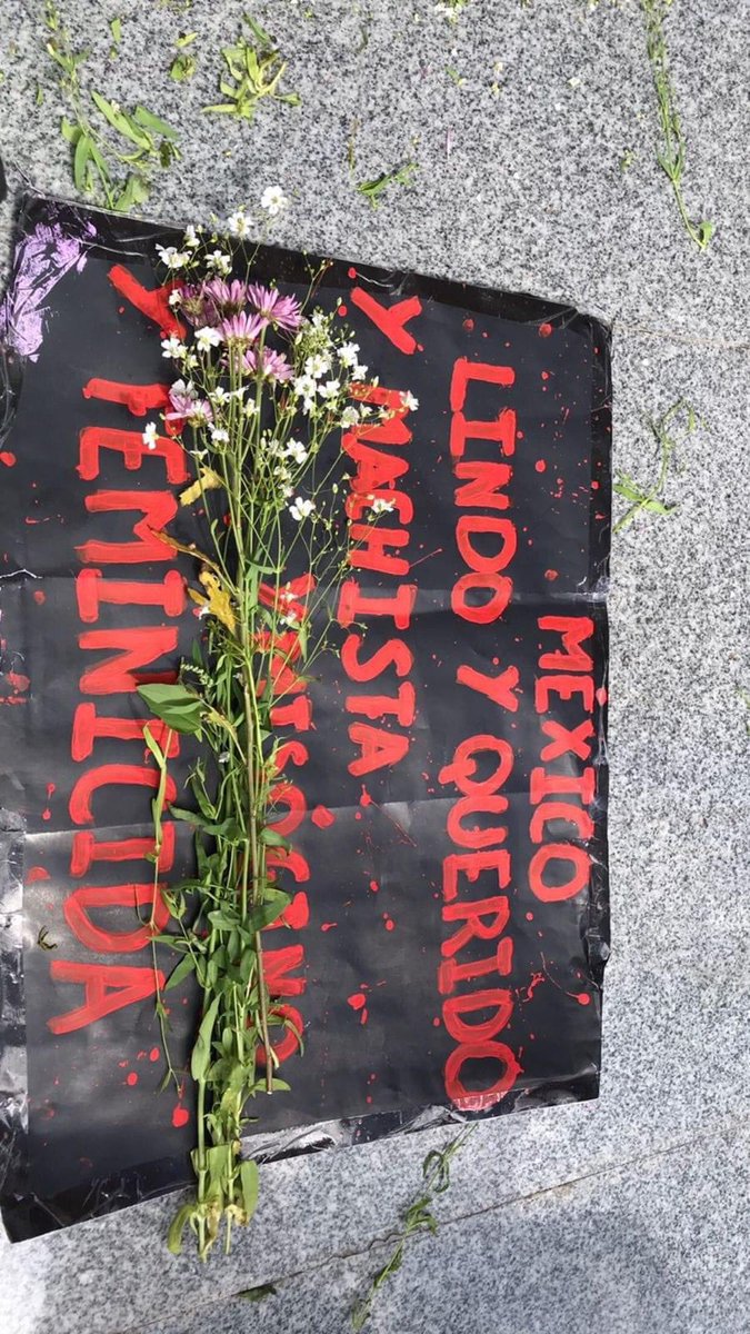 Mujeres del Tule Colectiva Feminista tweet media