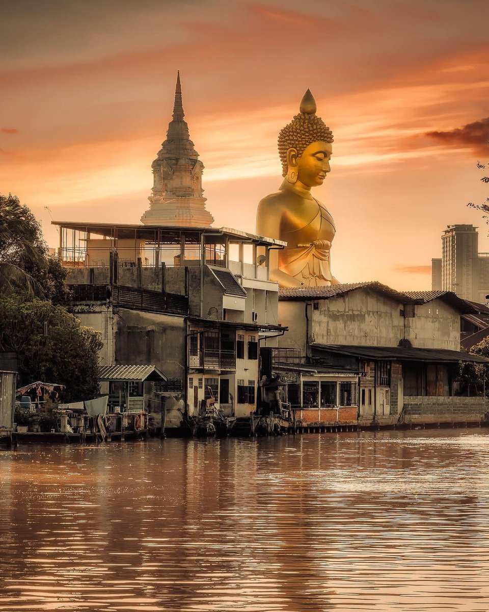 Patch.... B.3659🐶🐱🐣🐔🦋💖💋 (@patcharapatric1) on Twitter photo 