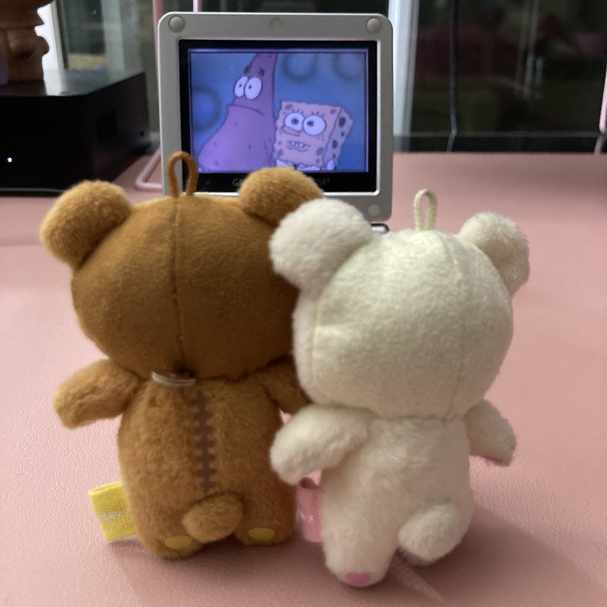 Rilakkumamemes's tweet photo. Shhh be quiet they’re trying to watch SpongeBob https://t.co/qiEy7oMXtO