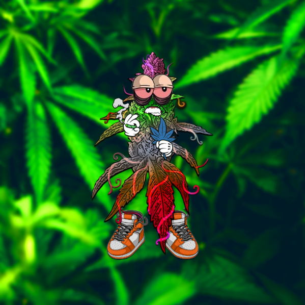SulleNGG's tweet photo. 🥳Ready for your chance to win up 120 Sol ($11.6k)🥳

NOWS YOUR CHANCE!
1⃣ Follow @PotPrincessNFT @DeBudsNFT 
2⃣ Retweet this post
3⃣ Head over to https://t.co/3Ey3WyBPMb and mint your very own DeBUD!

🔔ON = Drop Details
#NFTs #NFTCommunity #NFTCollection #NFTdrop #NFTGiveaway https://t.co/KctI0VGBAG