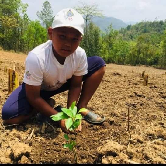 for_ecological's tweet photo. Manipur Youth Network and Tengnoupal districts joined Centre for Women and Girls in launching a 45-days-long campaign called "Voice for Green Earth" by planting 140 saplings.82 members were participants on this campaign.

#youthforecologicalsustainability #voiceforgreenearth https://t.co/gfurdjezsJ