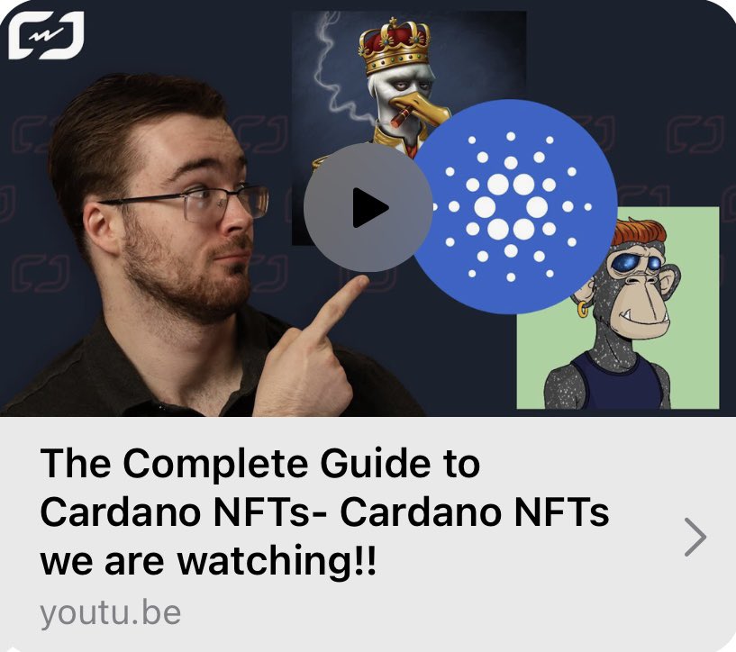 Salty Seagulls Society tweet media