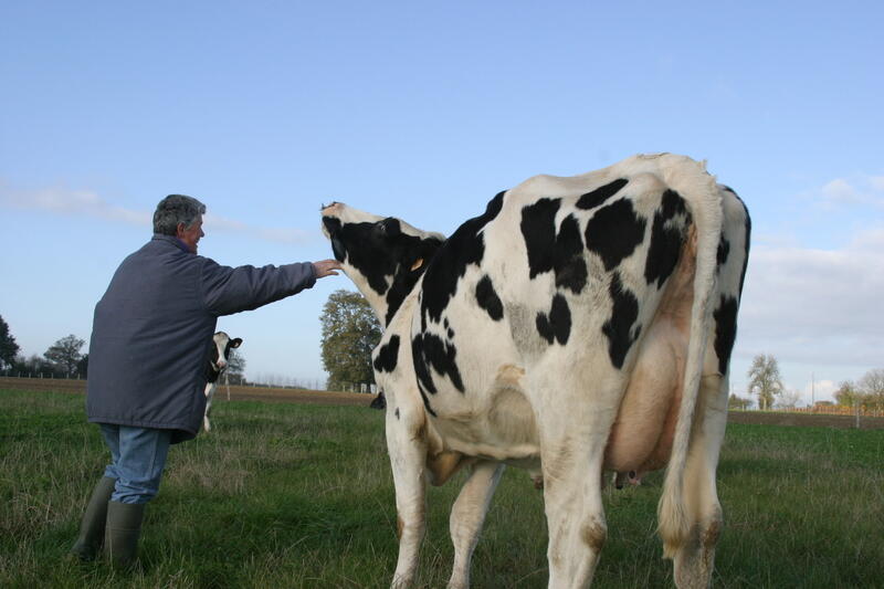 Une relation de qualité entre l’animal et l’homme, ça se construit ! dlvr.it/SPRqP0