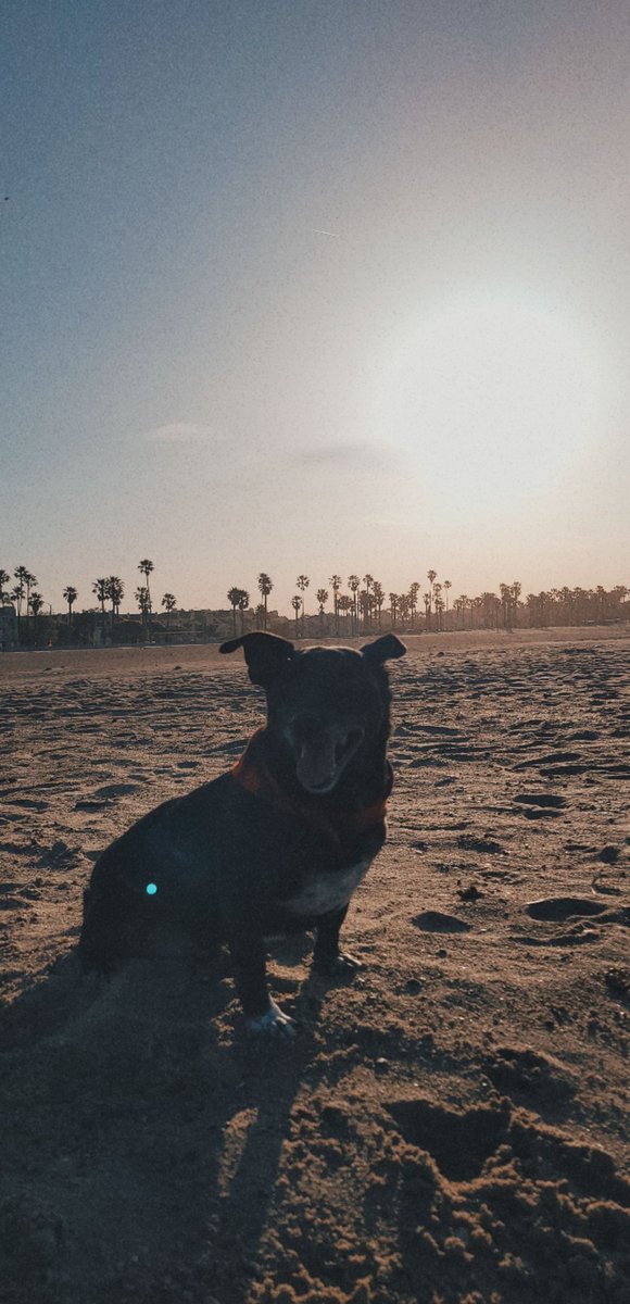 _vkenned's tweet photo. Cali-forn-i-a 🌴🌴 https://t.co/xrj17Dj4sx