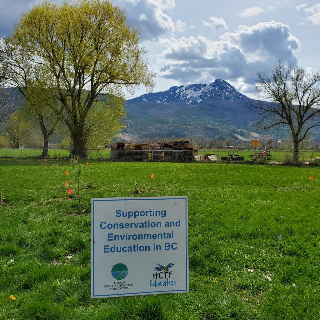 MollyCooperman's tweet photo. One day there will be a #biodiversity Forest #Naturalized school ground Thanks to https://t.co/Cmhol7MT2s and #GOgrants #Wildschools program @HCTF_Education https://t.co/tXREA6leRb