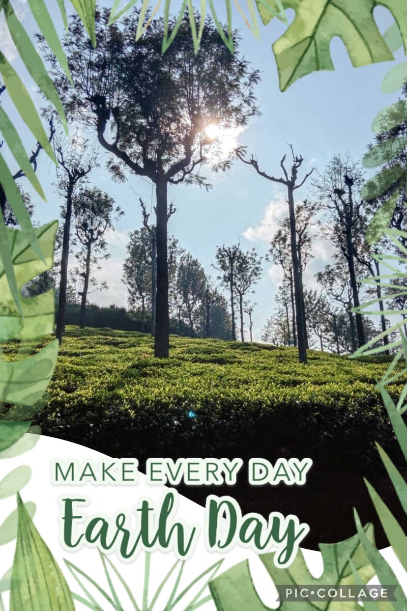 Jaya88414642's tweet photo. Our Planet is an amazing place, but it needs our help to thrive. That's why each year on April 22, more than a billion people celebrate Earth Day to protect the planet from Pollution &amp; Deforestation.
#WEDMyK #World #EarthDay
@NASSCOMfdn @MyKartavya @BakshiMahima @Bookwor17595992 https://t.co/x9h8XEBgK3