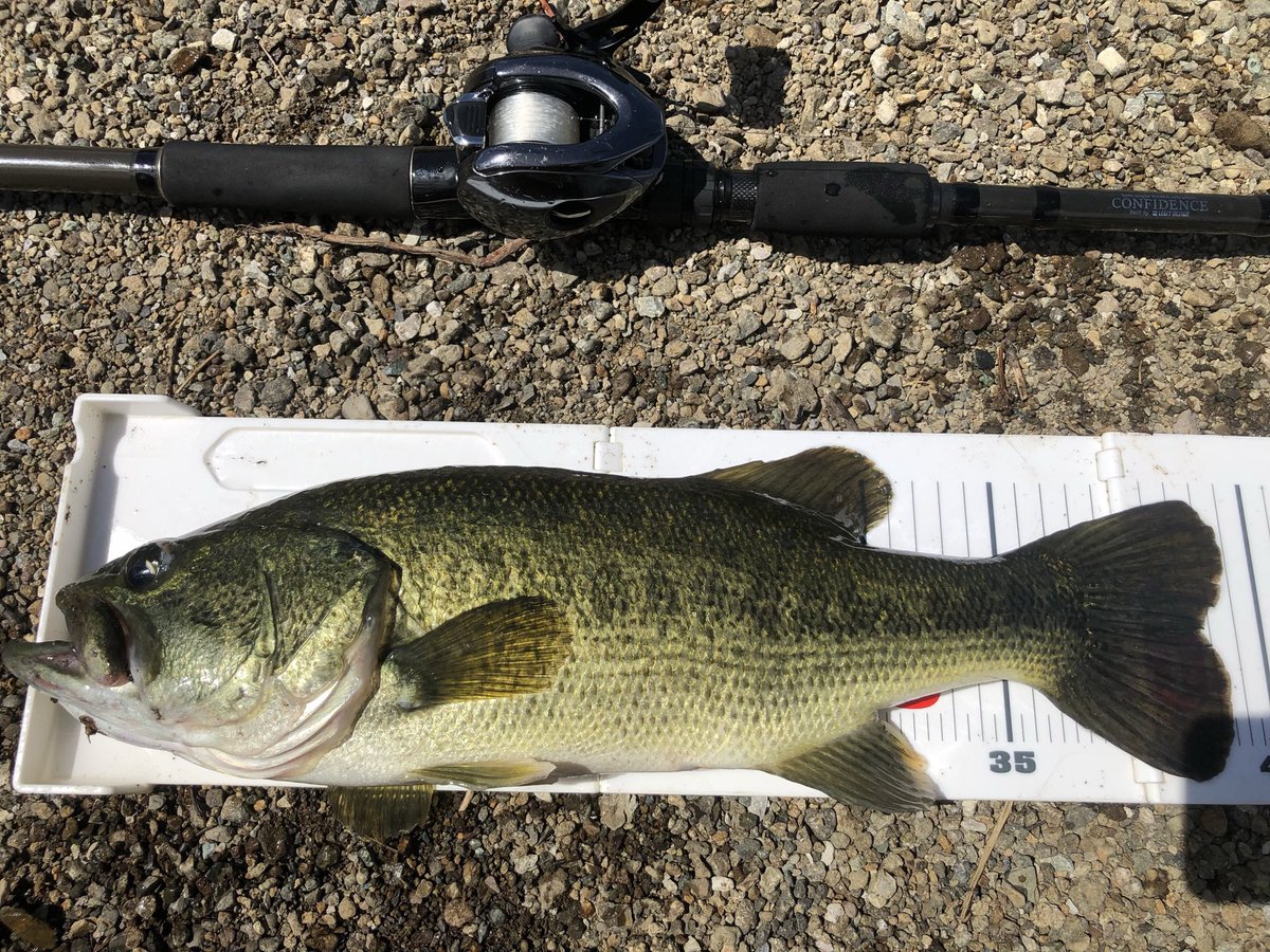 point_arashi's tweet photo. 拡散して欲しいです。
河口湖でタックルの盗難にあいました。

ロッドはコンフィデンス CB-80XXXXH
リールがタトゥーラ400H 
です��

1枚目に少し見づらいかもしれませんが、ロッドのデザインです。

リールが2枚目の写真の様に片方純���ハンドルノブが折れてます。
#拡散希望 #盗難 #河口湖 https://t.co/fqariRbrsU
