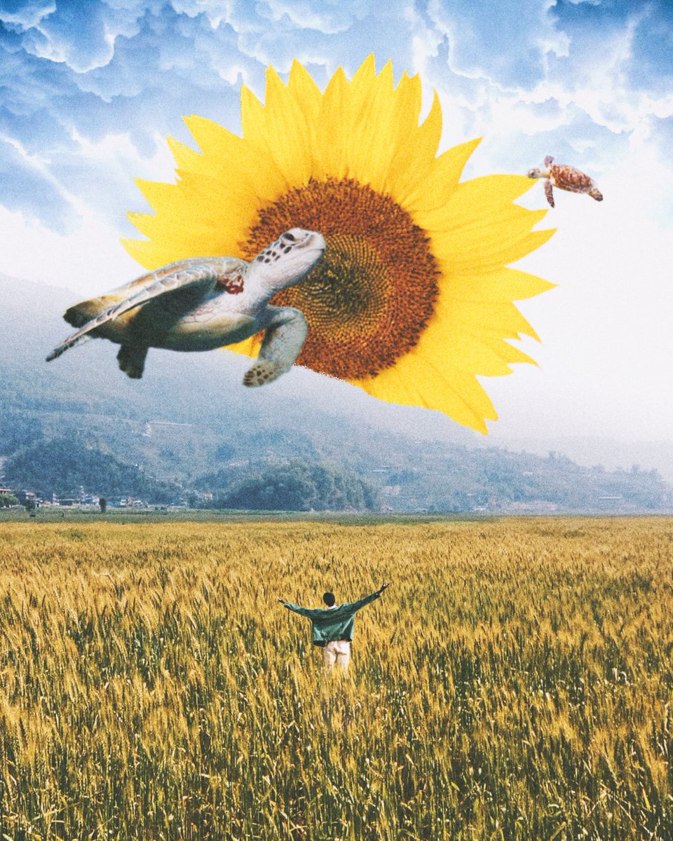 nitintheway's tweet photo. Not dead yet, Nor do I feel alive.
I live in the skies as sunflower and turtle as my disguise. .
photo manipulation @nitintheway
.
#lllonerrr #lonersmagazine #loner #photoshopart #photoshop #adobe #sunflower #turtle #flyinginsky #fieldtrip #nepal #T02 #Pokhara https://t.co/bNOLQnUPLU