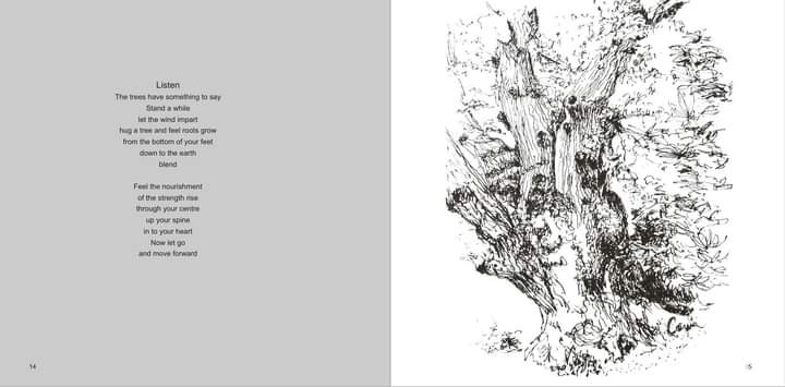CorrinTulk's tweet photo. Sharing a page from my new #woodlandsketchbooks of the iconic #queenoak @fairhavengarden majestic on the main path. #lovetrees #connectwithnature #sketchdaily @icenimagazine @visitnorfolk @BroadsNP https://t.co/XFVA6TQgvA